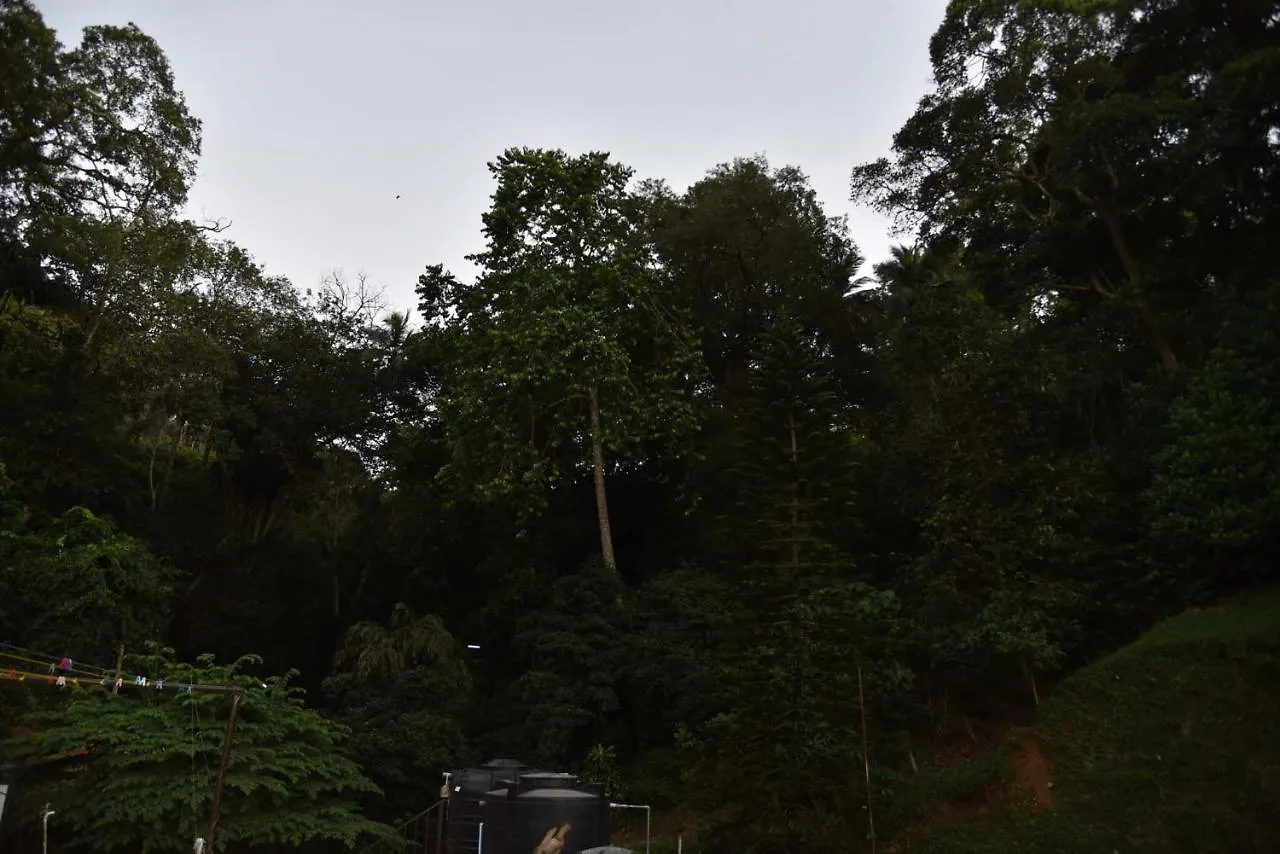 Lodge In 611 Kandy Vandrarhem